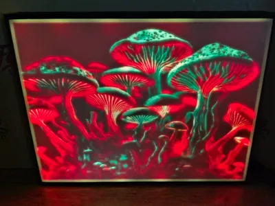 Magic Mushrooms