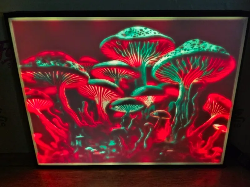 Magic Mushrooms