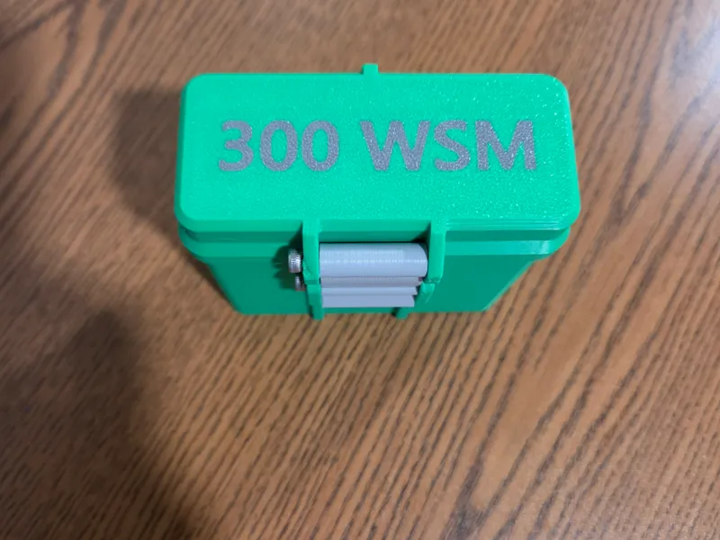 300 WSM 10rnd Ammo Box