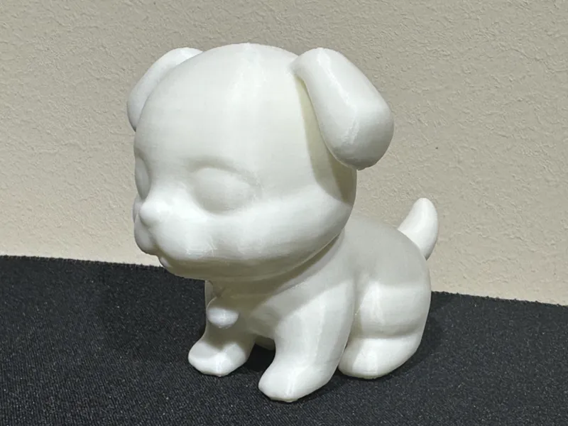 Cute Dog