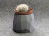 Diameter 10.5cm, layer height 0.2mm