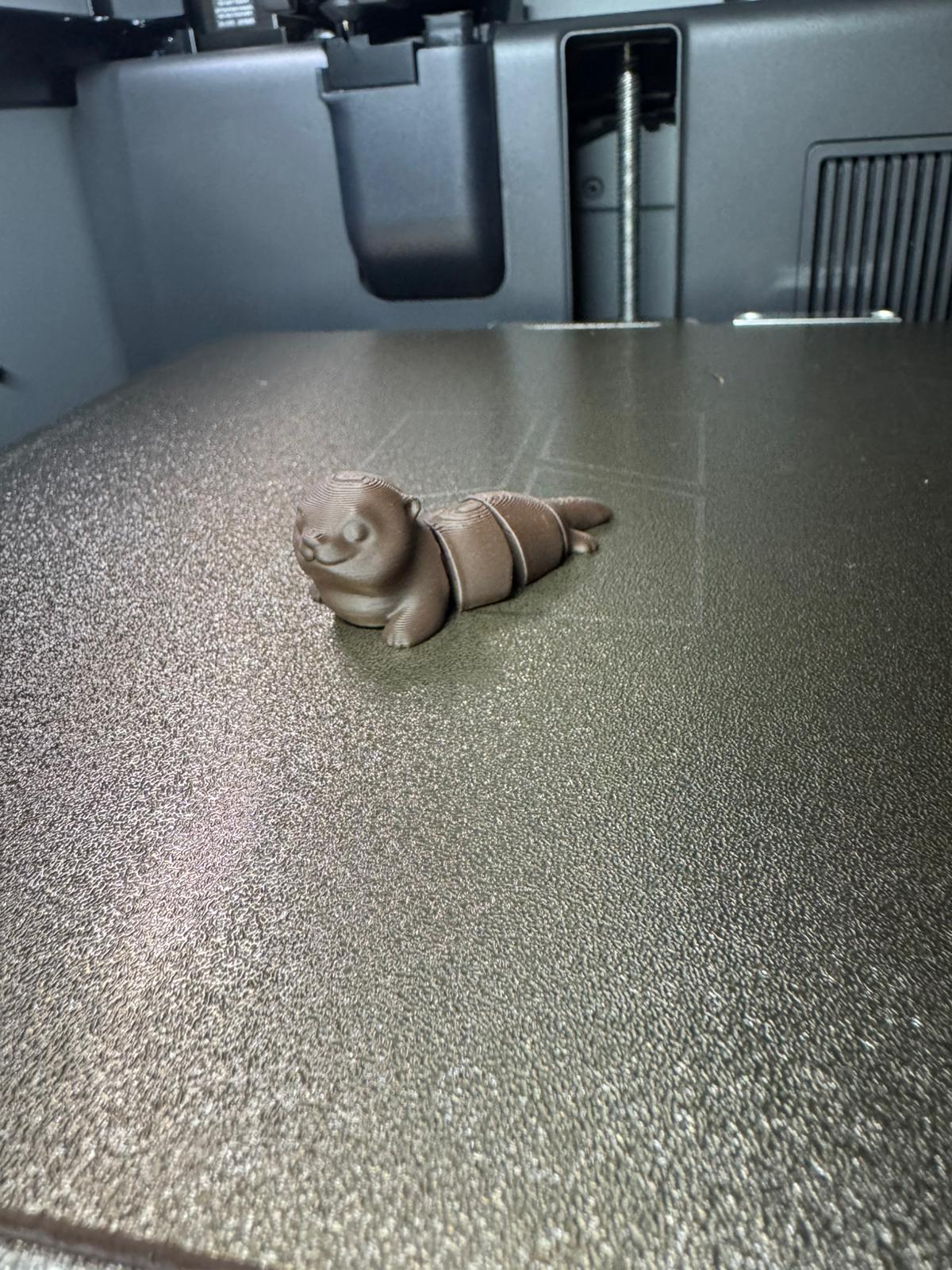 Miniatura 1 do modelo 3D Flexy Otter