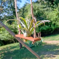 Support balançoire pour plante aérienne — photo 2