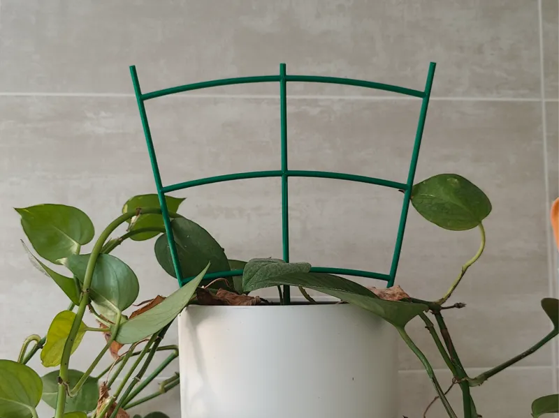 Tuteur Décoratif pour Plantes d'Intérieur