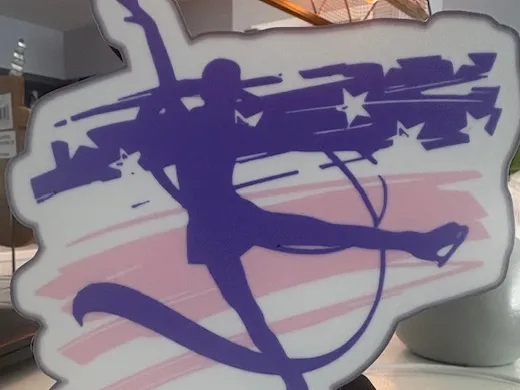 Ice Skating USA