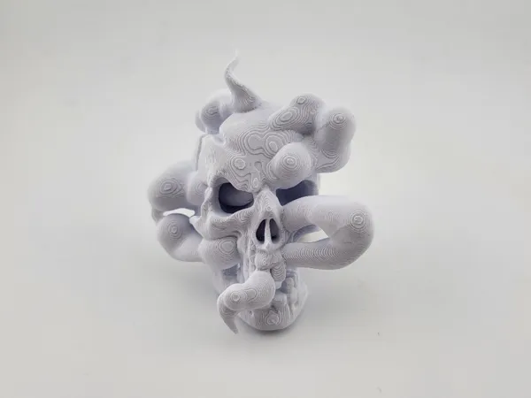 https://makerworld.bblmw.com/makerworld/model/US74361ad430a04f/design/2025-01-15_f20d504fa7f5d8.jpg