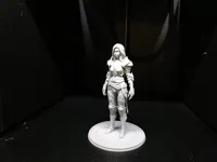 0.16mm layer, 2 walls, 5% infill