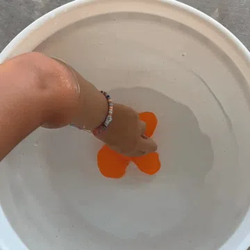 Modelo para impresión 3D: Pool Propellers - boat and plane versions — vista de referencia 3