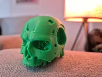 Crâne inspiré de Terminator — photo 3