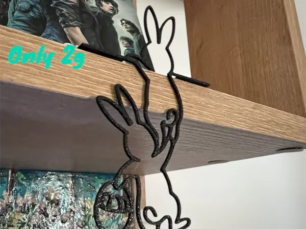 https://makerworld.bblmw.com/makerworld/model/US7443964bb7b1e8/design/2025-03-30_ce18cc460d382.jpeg