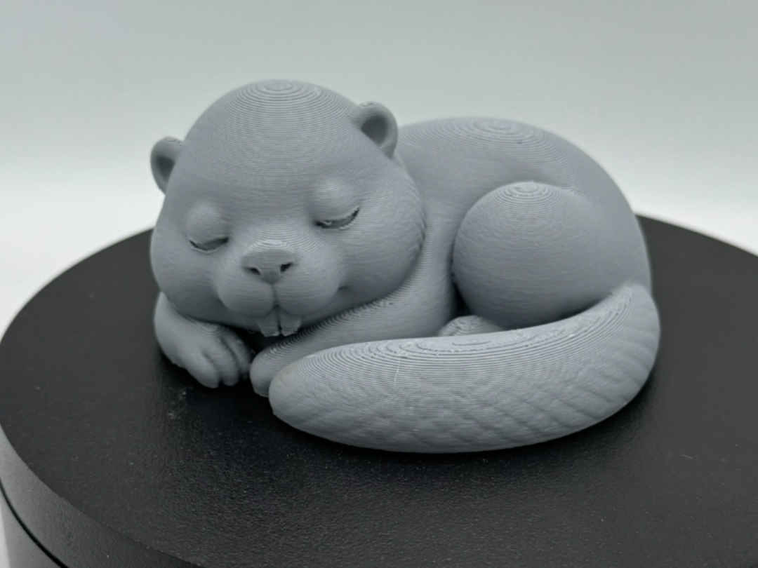 Sleeping Beaver – Curled Tail Rest Pose