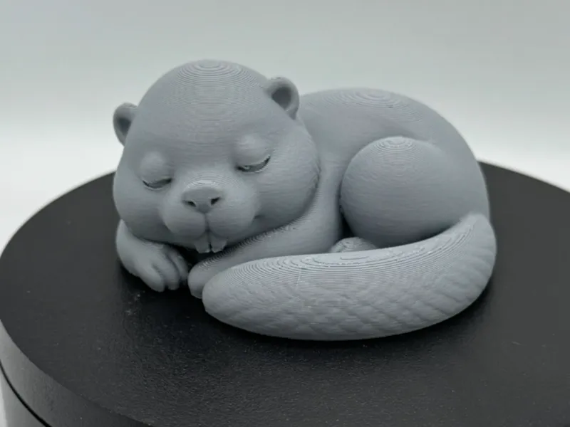 Sleeping Beaver – Curled Tail Rest Pose