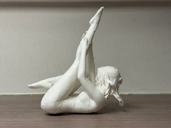 https://makerworld.bblmw.com/makerworld/model/US744947a38931d/design/2025-06-03_8f81a483eef5d8.jpg