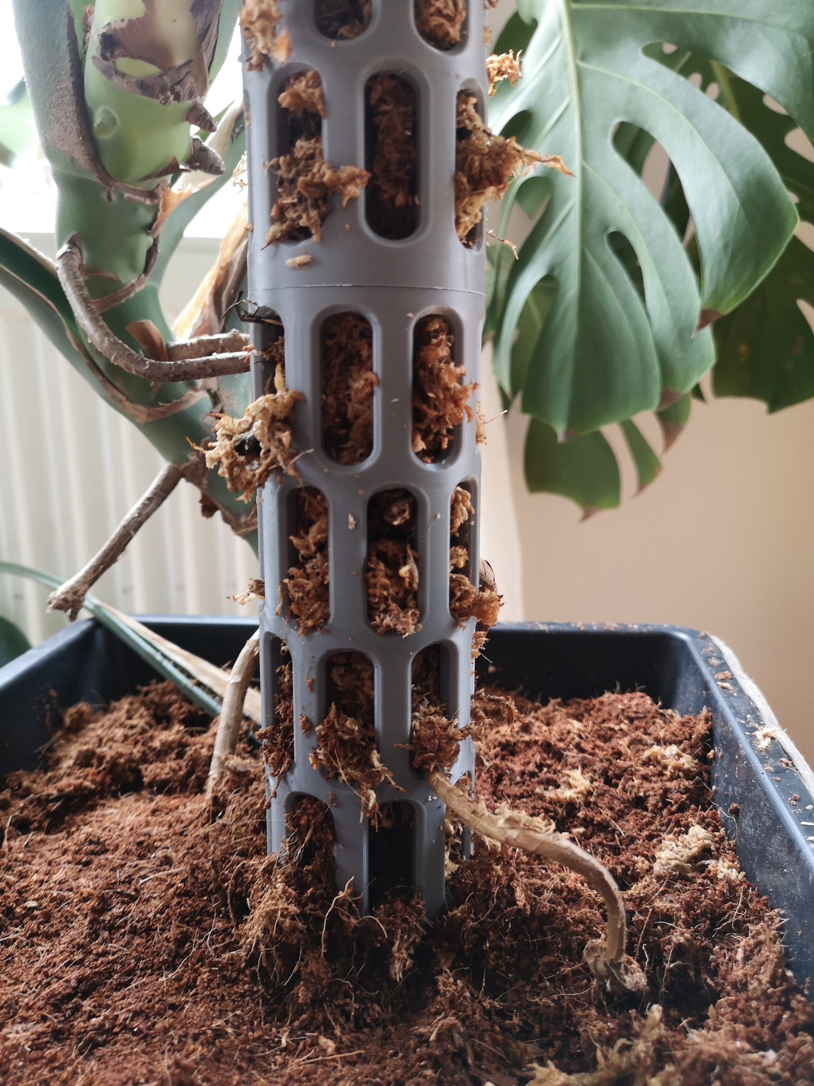Miniatura 5 do modelo 3D ModuGrow – Modular Moss Pole System