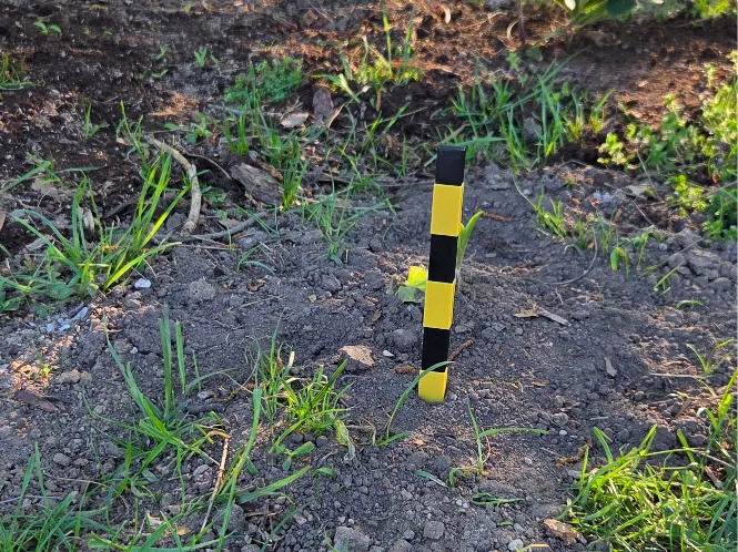 garden stake