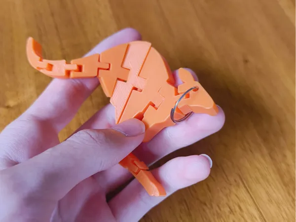 https://makerworld.bblmw.com/makerworld/model/US7454c5b316ca2c/design/2026-01-12_728544c1b2f9f8.jpeg