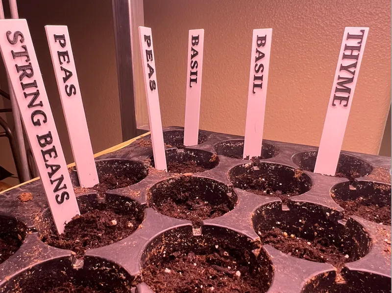 Garden Herb and Vegetable Seed Stakes