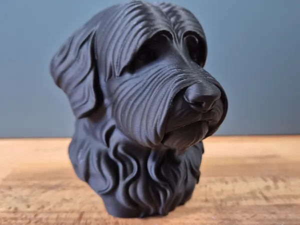 https://makerworld.bblmw.com/makerworld/model/US746340cf6ada10/design/2025-05-20_9ec81d14741f58.jpg