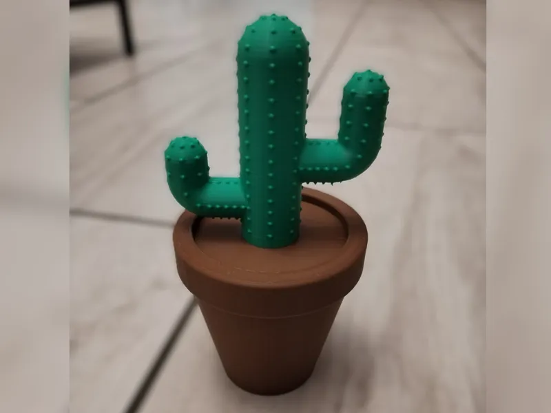 Cactus