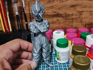 vegeto 1