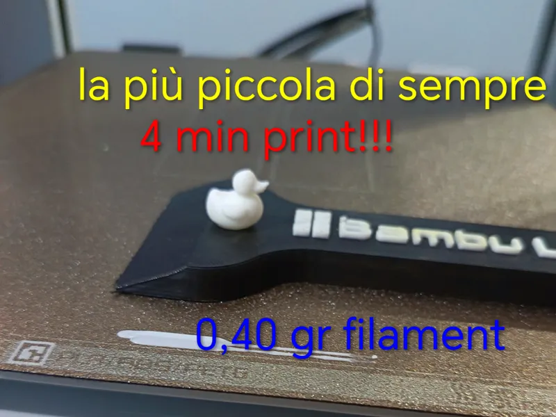 mini paperella minuscola