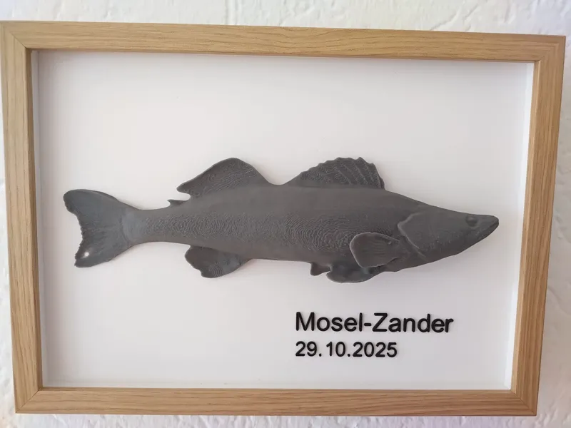 Zander Display 21 x 30 cm