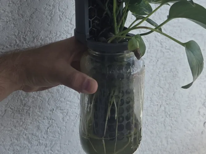Mason Jar Mount for Moss Pole.