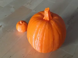 Realistic Pumpkin