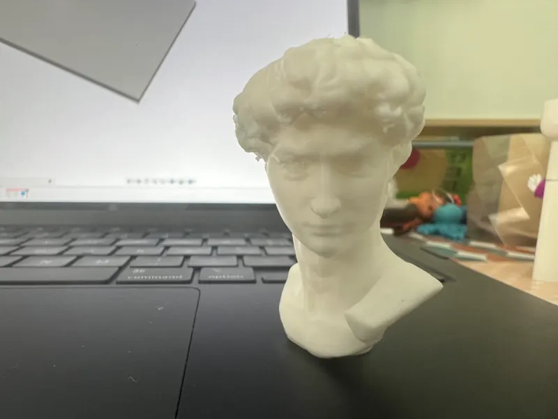 Michelangelo's David Head - High Resolution model