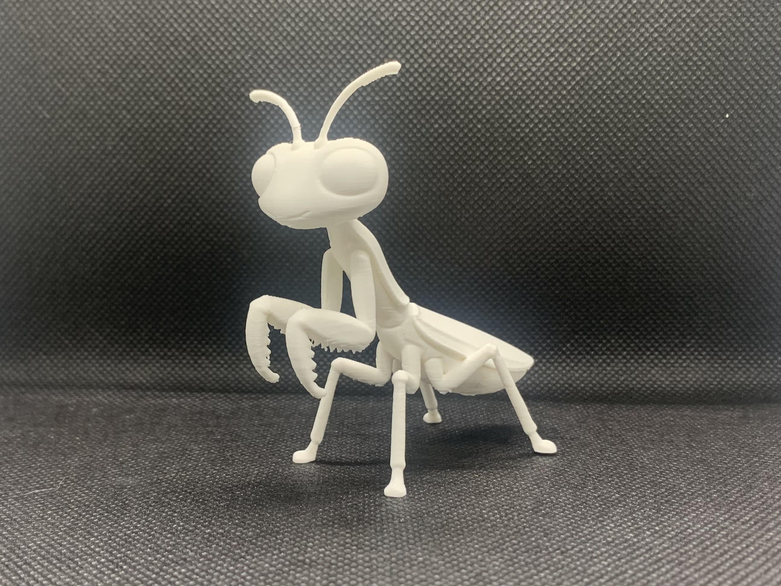 Miniatura 1 do modelo 3D Mantis