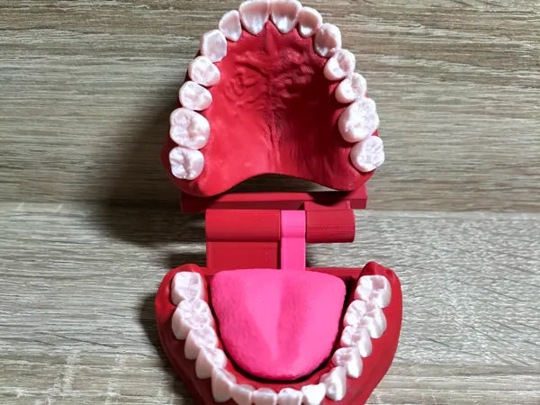 https://makerworld.bblmw.com/makerworld/model/US74849db46c6cc6/design/f8cfea6699d60e2a.jpg