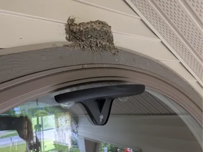 Shelf - Suction Cup - Bird Poop Catcher