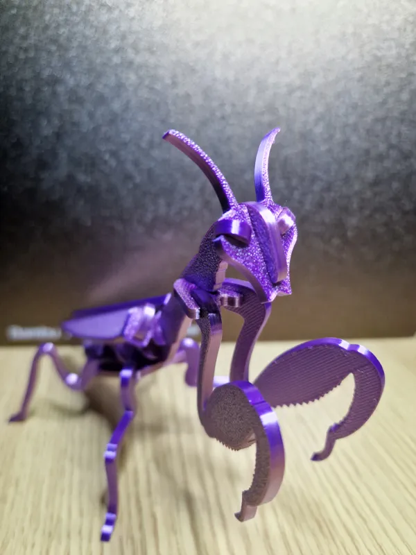 https://makerworld.bblmw.com/makerworld/model/US748773d4acaabb/design/2024-01-10_ea9b8c9682b408.jpg