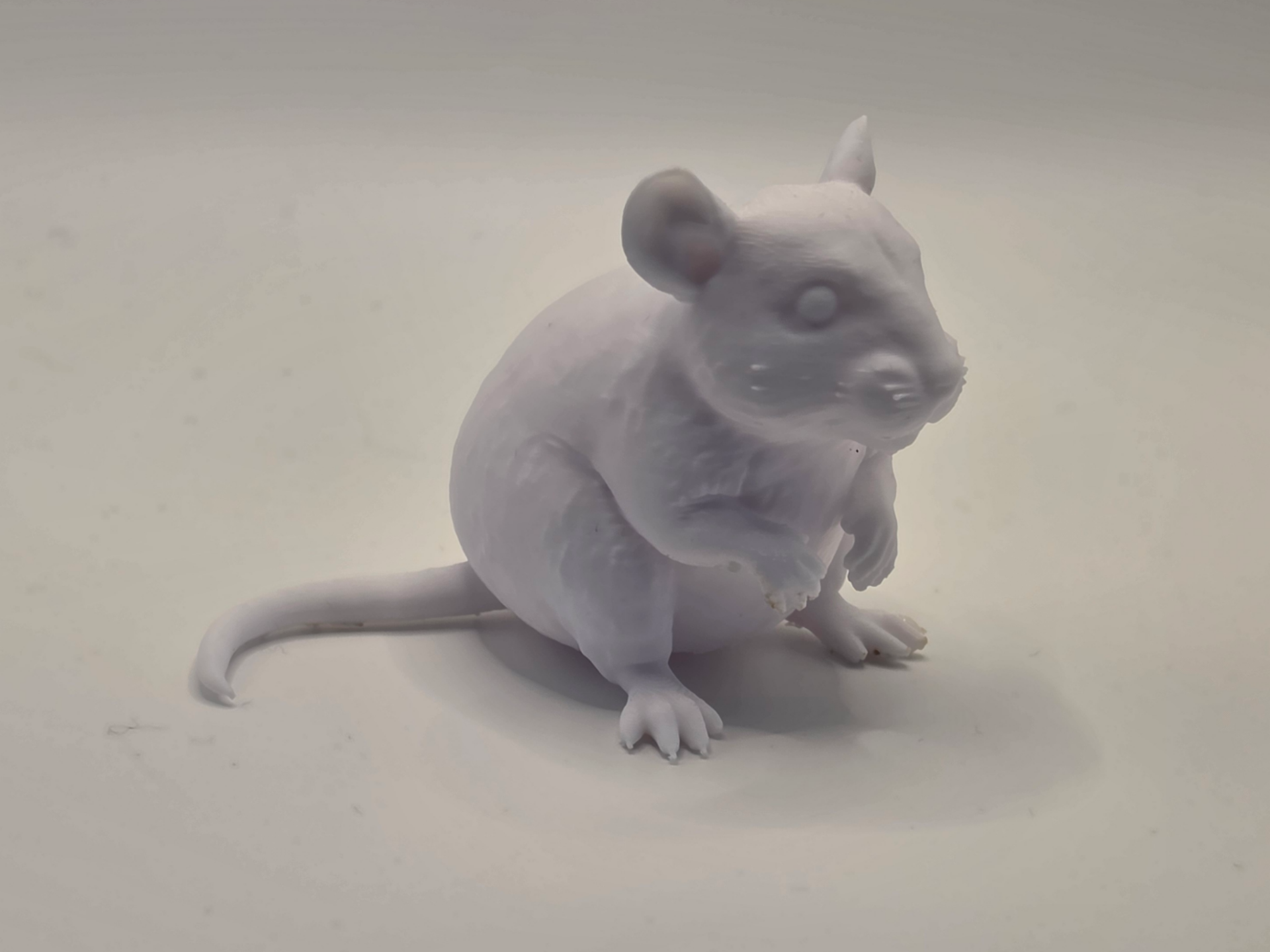 Sitting Rat – Realistic Rodent Model 