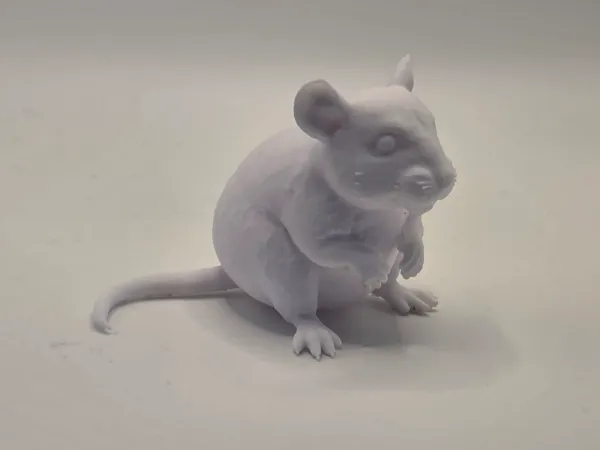 https://makerworld.bblmw.com/makerworld/model/US7487c6e3ac3e09/design/52096e3b3250e799.jpg