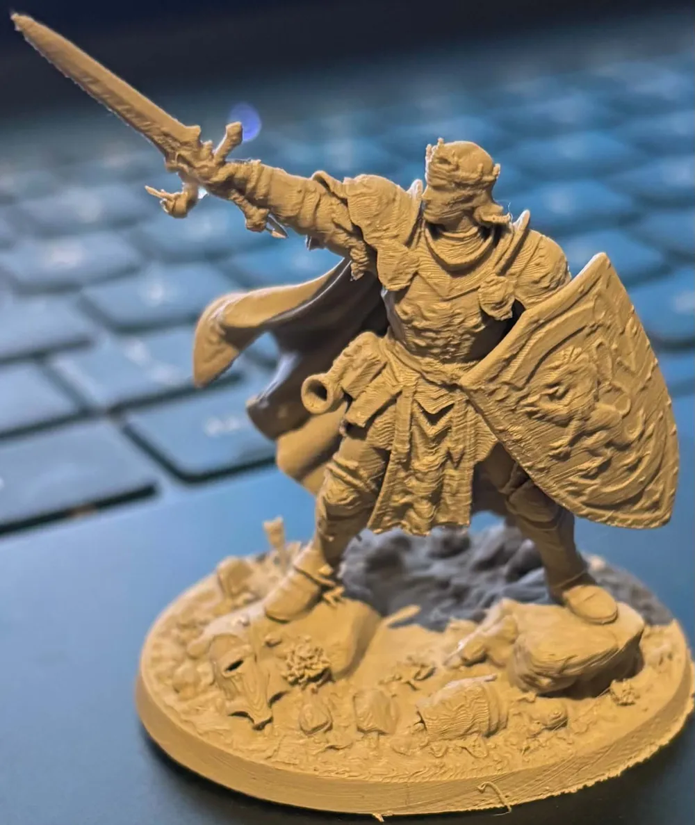 Dnd Ruffian Humans Rodan - Male Human Paladin - Free 3D Print Model - MakerWorld