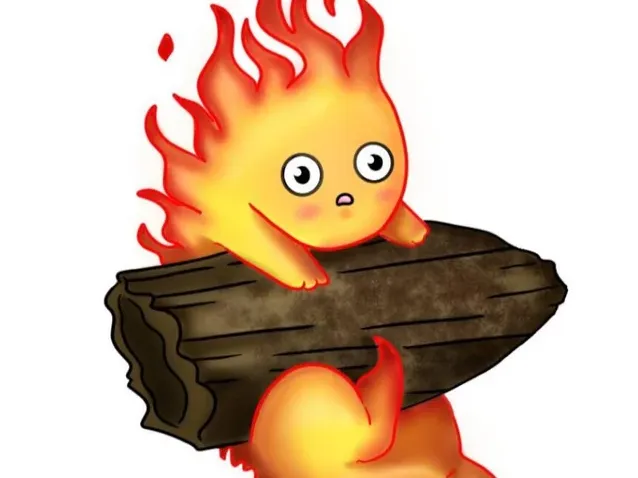 Fire burning log