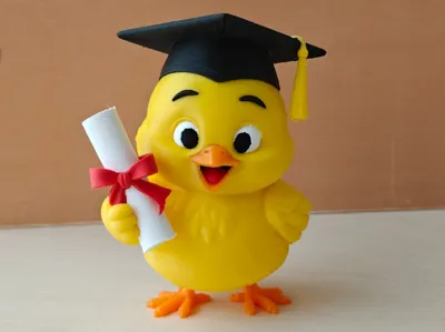 Graduate Chicken