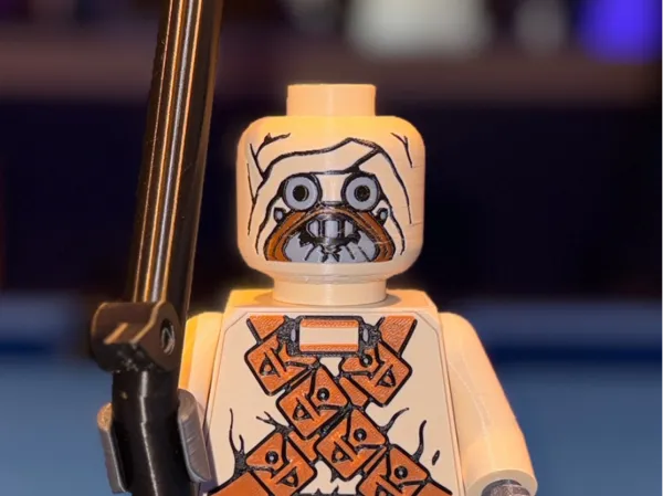 https://makerworld.bblmw.com/makerworld/model/US7499216c39f608/design/2025-10-28_32720162128858.jpeg