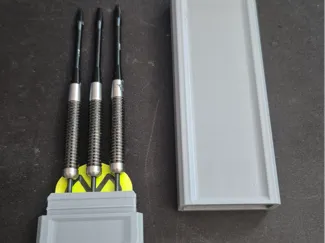 Darts Case