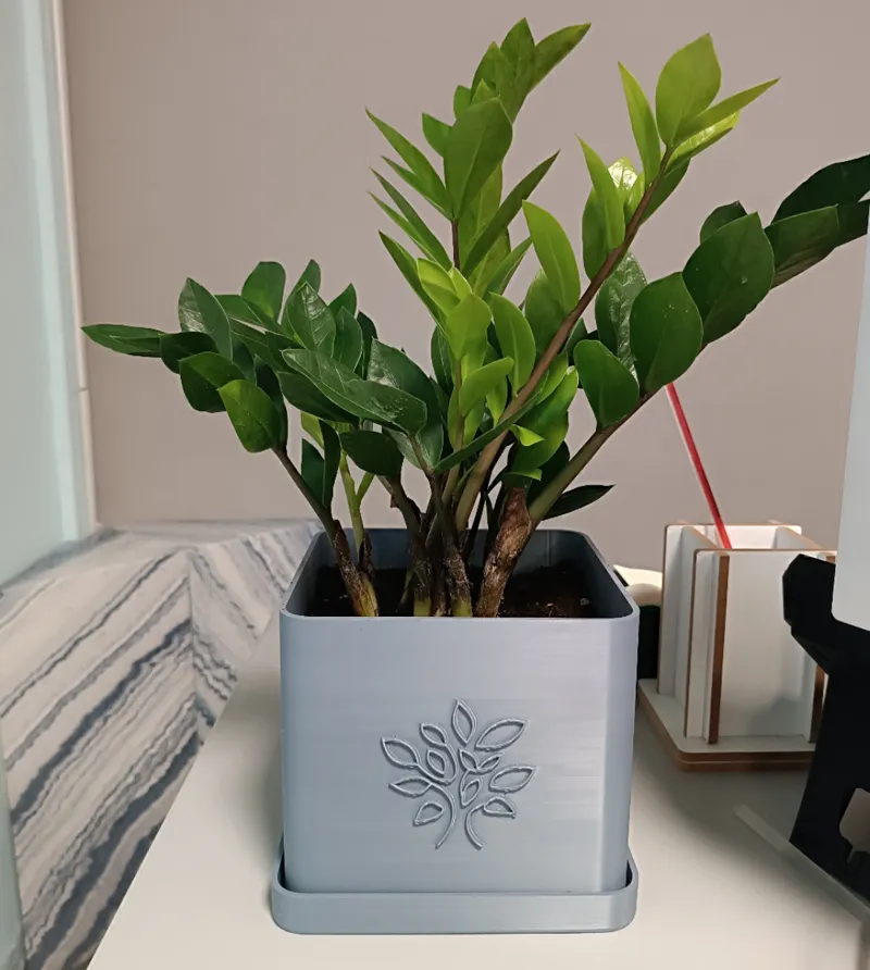 Square Pot & Plate