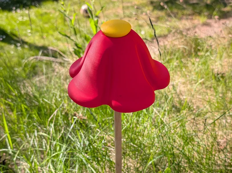 Garten Blume