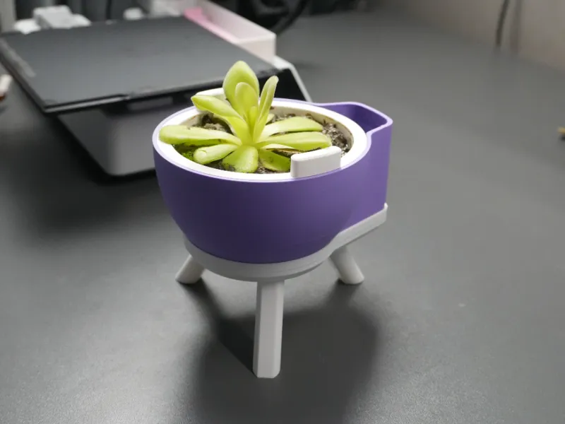 Cute Standing Planter with legs