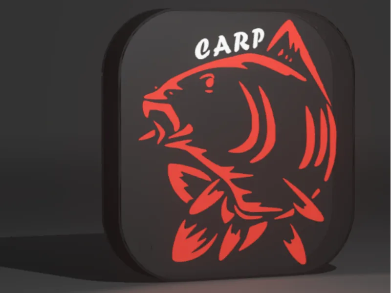 Light Box Carp