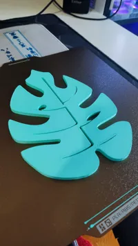 Feuille de monstera décorative — photo 2