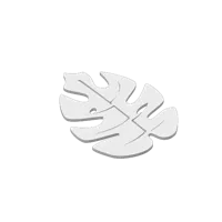 Feuille de monstera décorative — photo 4