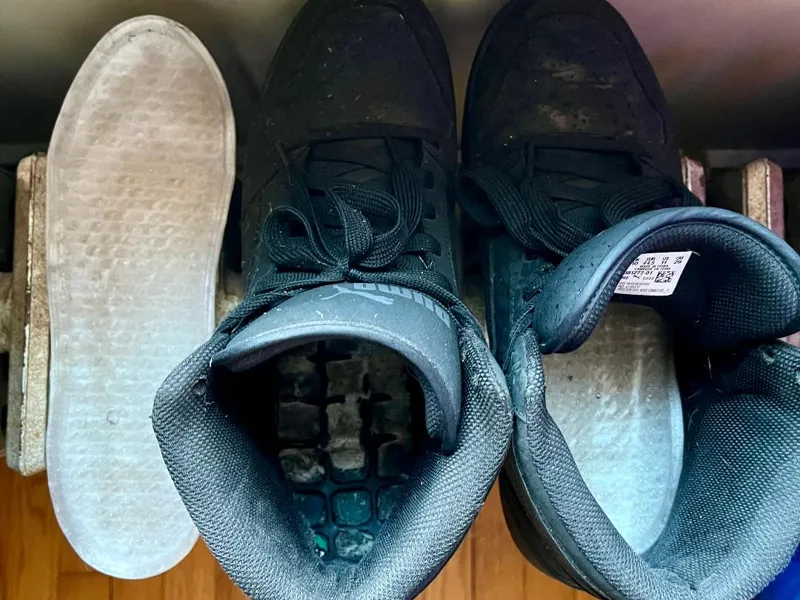 Shoe Insole