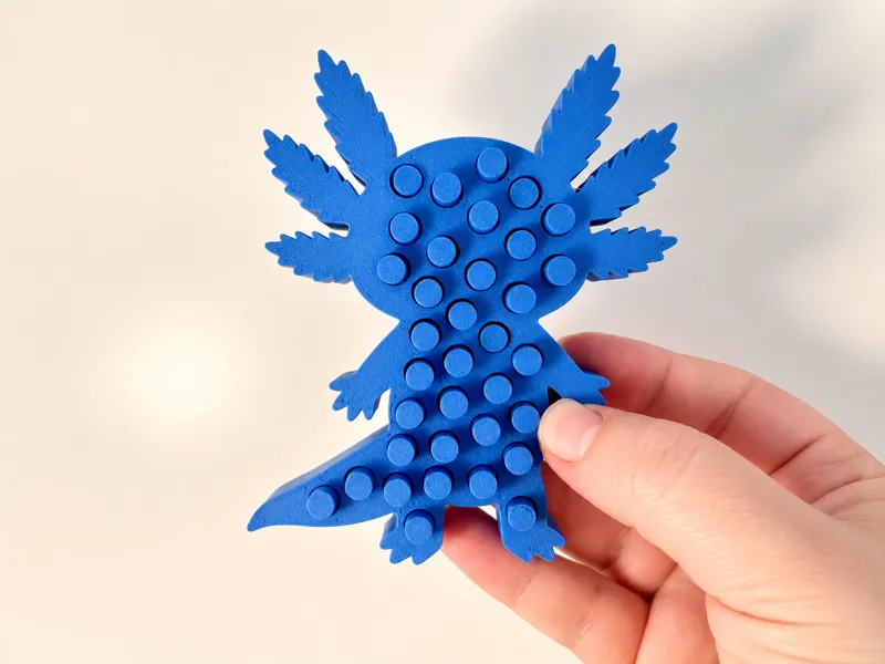 Axolotl Pin Art Fidget