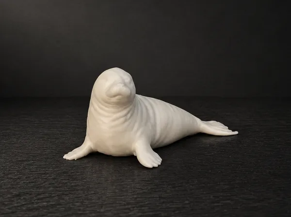 https://makerworld.bblmw.com/makerworld/model/US74b151c5fcb369/design/bc4982c3f0a2ff87.png