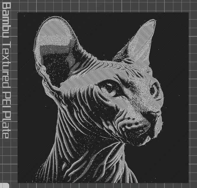 Sphynx Cat